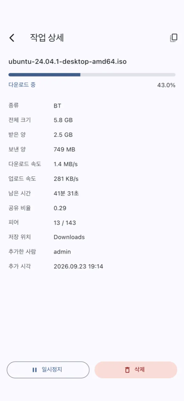 작업 상세 — 크기·피어·저장 위치